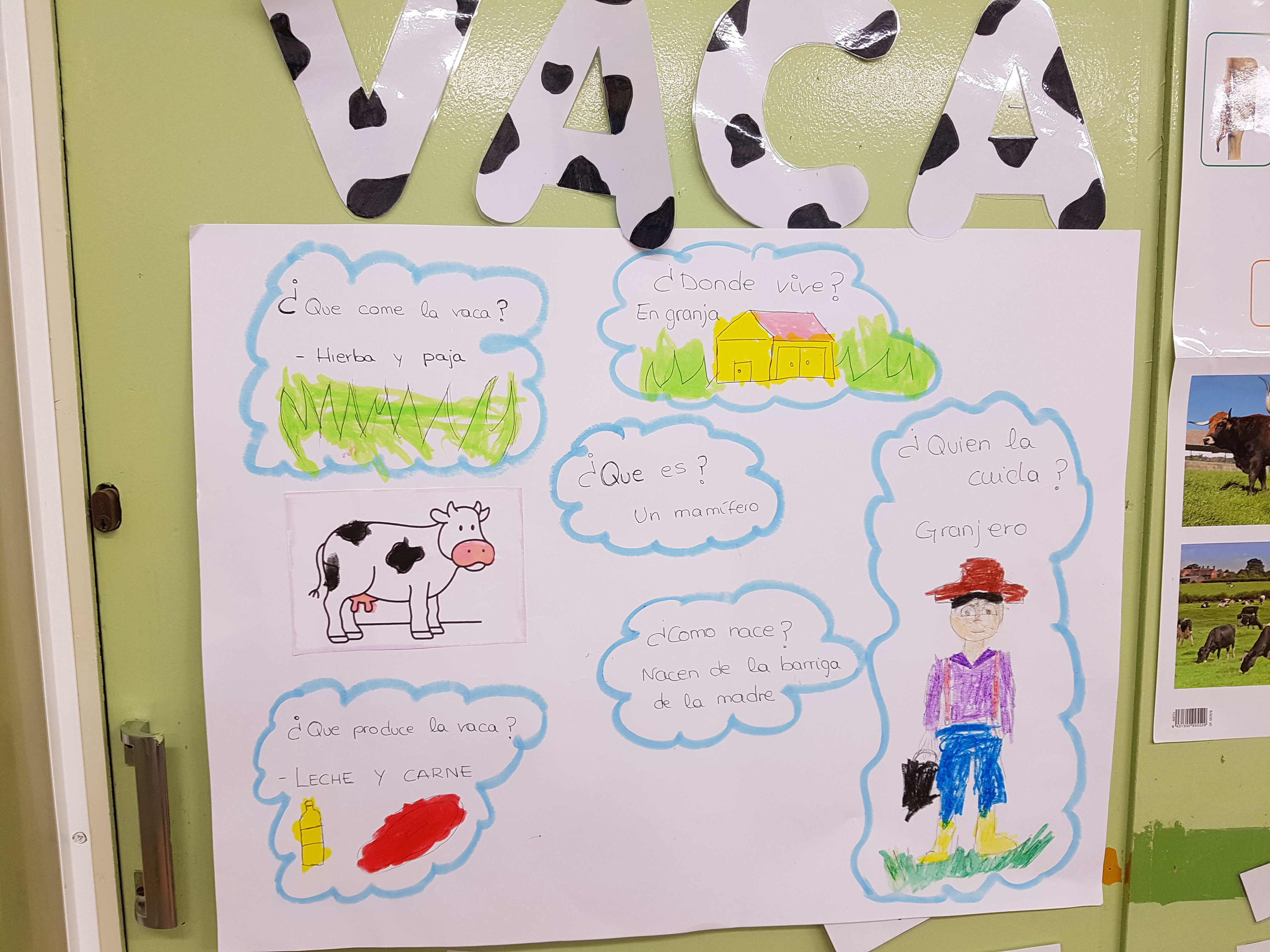 A Os Proyecto Vaca Blog De Educaci N Infantil